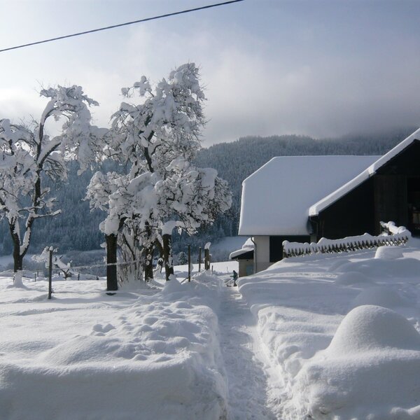 Der Bauernhof im Winter, mit tiefem Schnee bedeckt und einem geräumten Zugangsweg.
