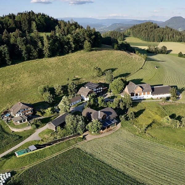 The Farm House property, featuring multiple buildings, is situated within green fields and forests, with an outdoor swimming pool.