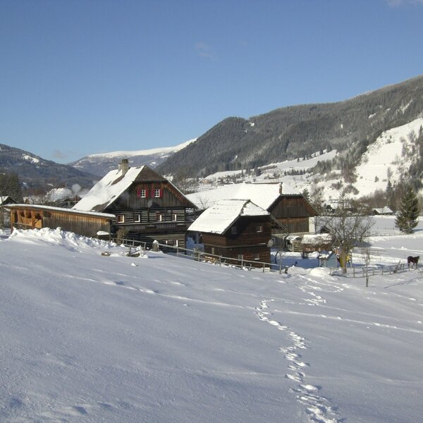 Bauernhof mit traditionellen Gebäuden in einer verschneiten Berglandschaft, mit zwei Pferden auf der Koppel.