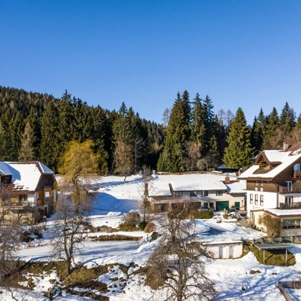 The Farm House is situated in a snowy, mountainous landscape surrounded by forests.