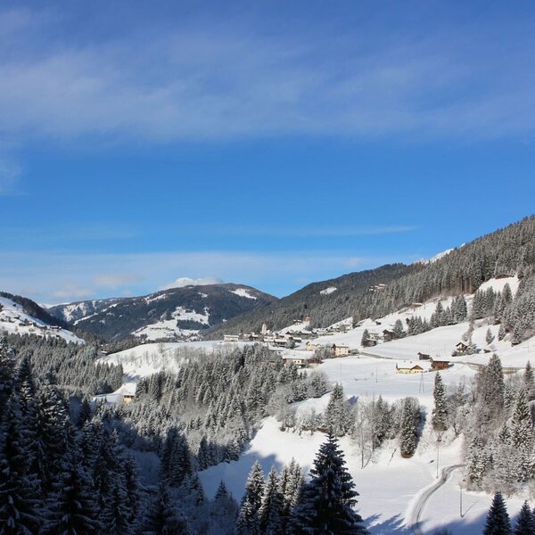 Peintnerhof - Blick nach Liesing