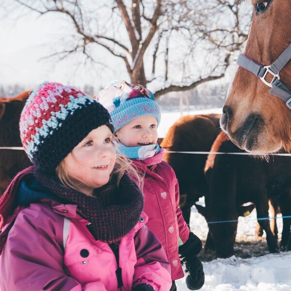 Zwei Kinder begegnen auf dem BIO-BAUERNHOF einem Pferd in der verschneiten Landschaft, mit K&uuml;hen im Hintergrund.