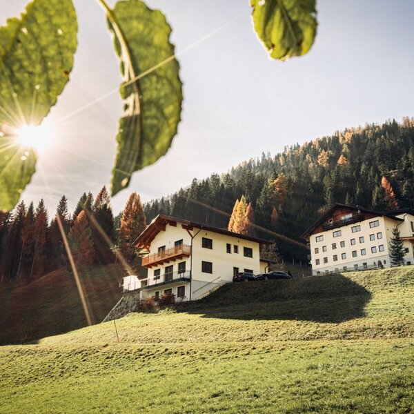 The exterior of the Farm House, featuring multiple buildings on a grassy hillside with a forest backdrop.