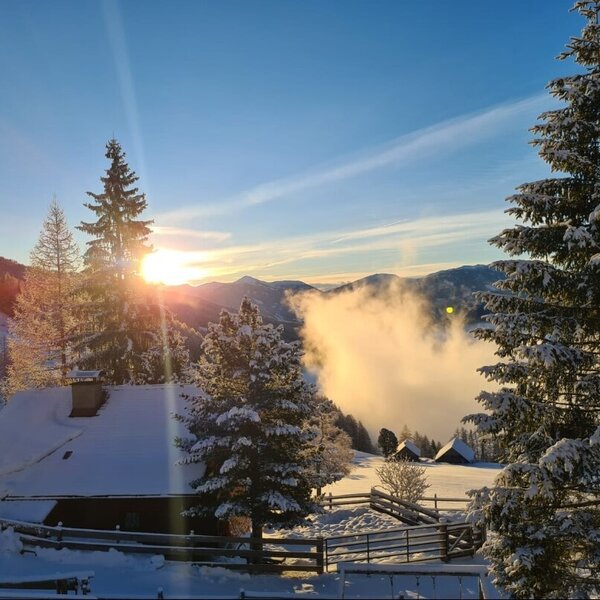 Die Alm im verschneiten Winterwald mit Blick auf das nebelverhangene Tal und die Berge im Sonnenlicht.
