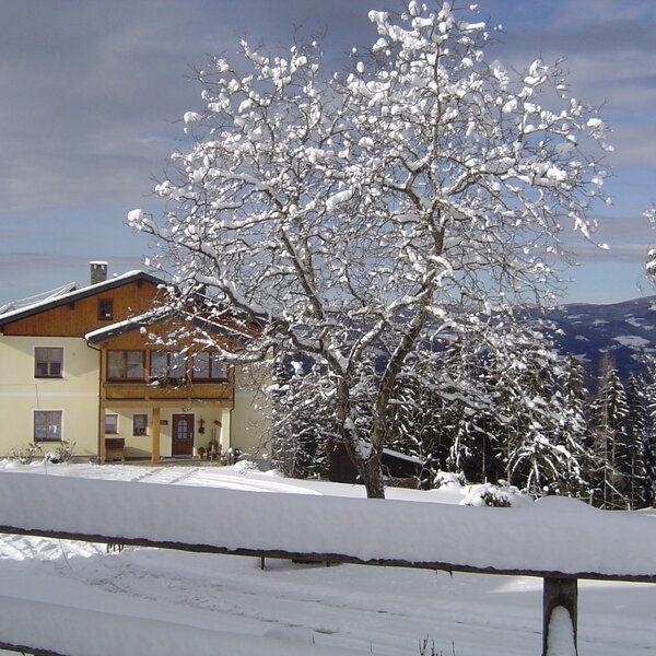 Winter am Hof