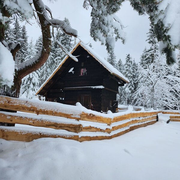 Die Almhütte im Winter, umgeben von verschneiten Tannenbäumen und einem Holzzaun.