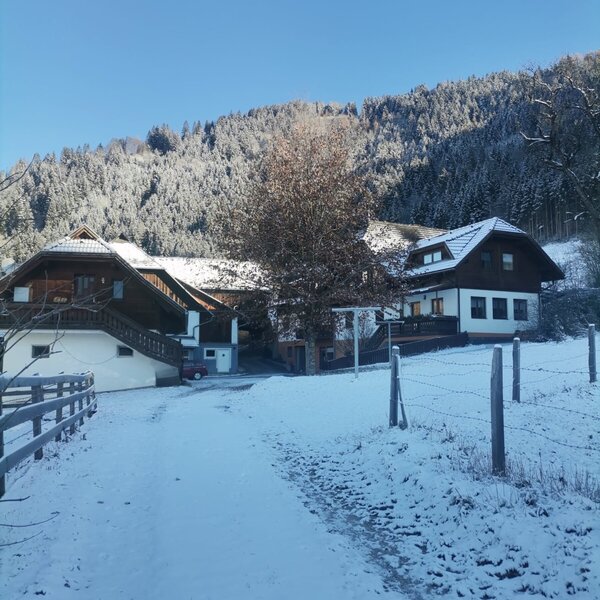 Der Bauernhof mit seinen Gebäuden in einer verschneiten Winterlandschaft und bewaldeten Bergen im Hintergrund.