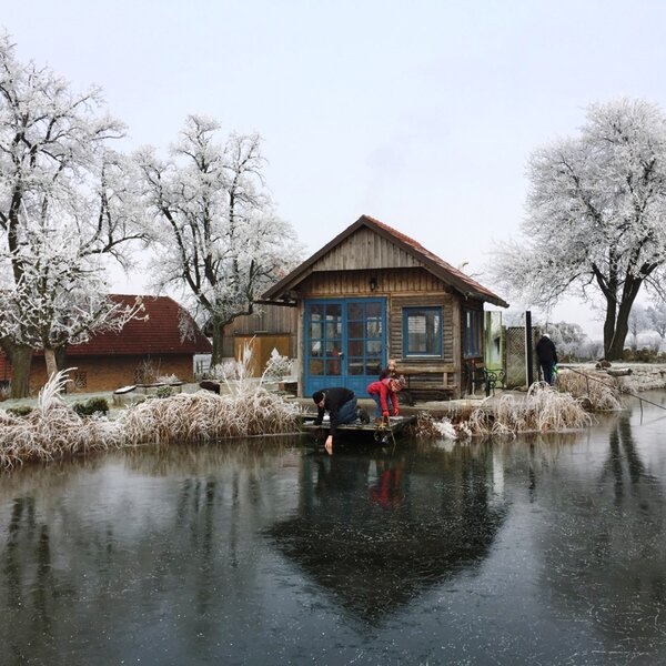 Unser Naturbiotop im Winter
