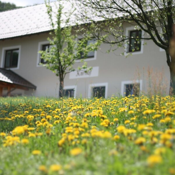Karhof - Vor dem Karhof gibt's viel Grün um Entspannen und Ruhe genießen