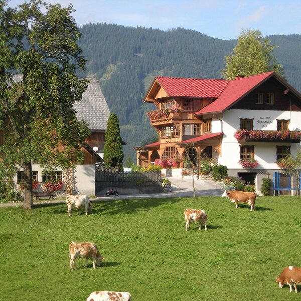 The Farm House, featuring traditional architecture with a red roof and flower boxes on balconies, overlooks a green pasture with grazing cows and distant mountains.
