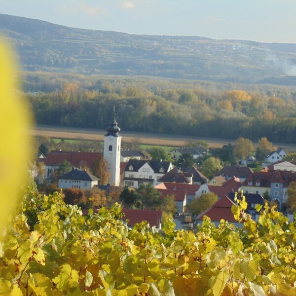 Herbstlicher Rohrendorfblick