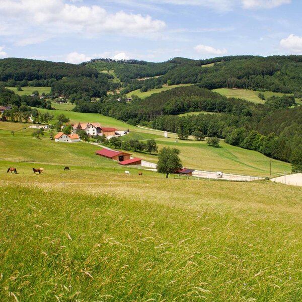 Waldhof Grasel