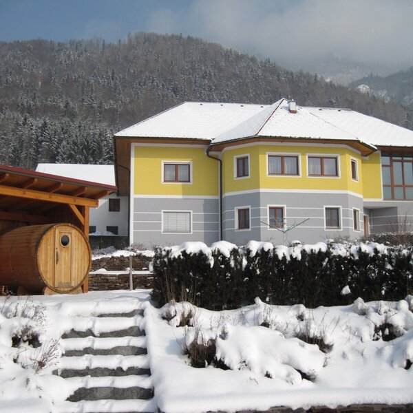 Wood barrel sauna winter