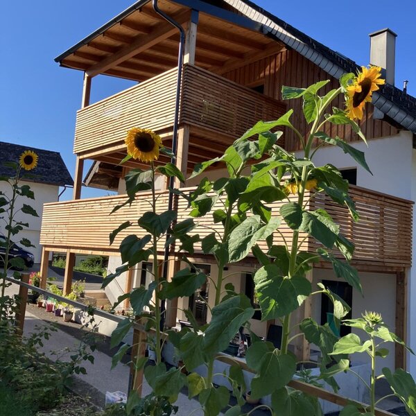 modernes Bauernhaus