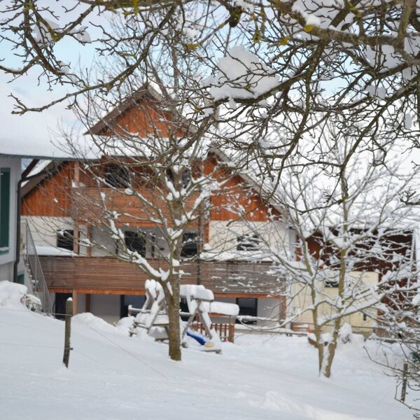 Winter at the organic farm