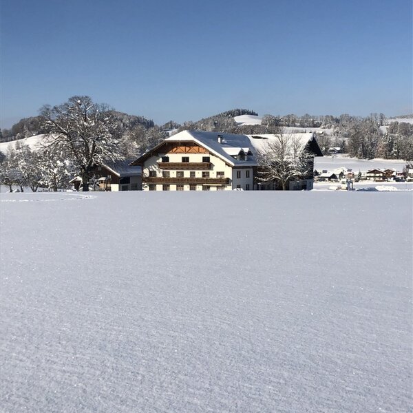 Der Bauernhof im Winter, mit schneebedeckten Dächern und Feldern unter blauem Himmel.