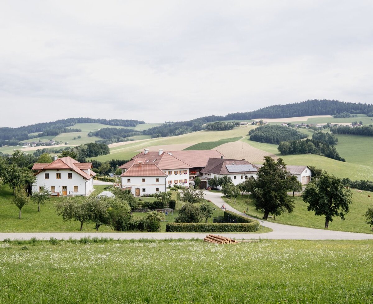 Der Mühlviertler Bauernhof mit seinen Gebäuden inmitten von Wiesen und Feldern.