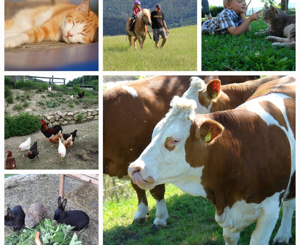 Unsere Tiere