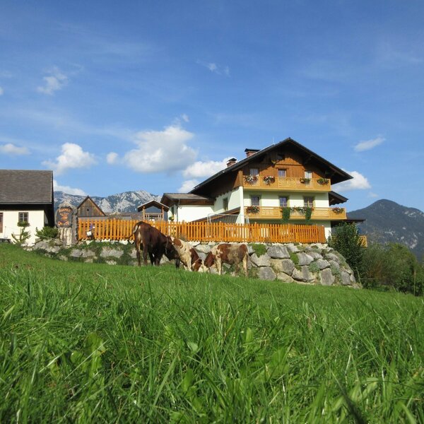 The farmhouse with balconies and grazing cows set against a mountain backdrop.