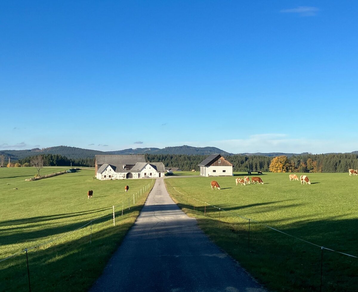 Ferienhaus Goanbau, Liebenau