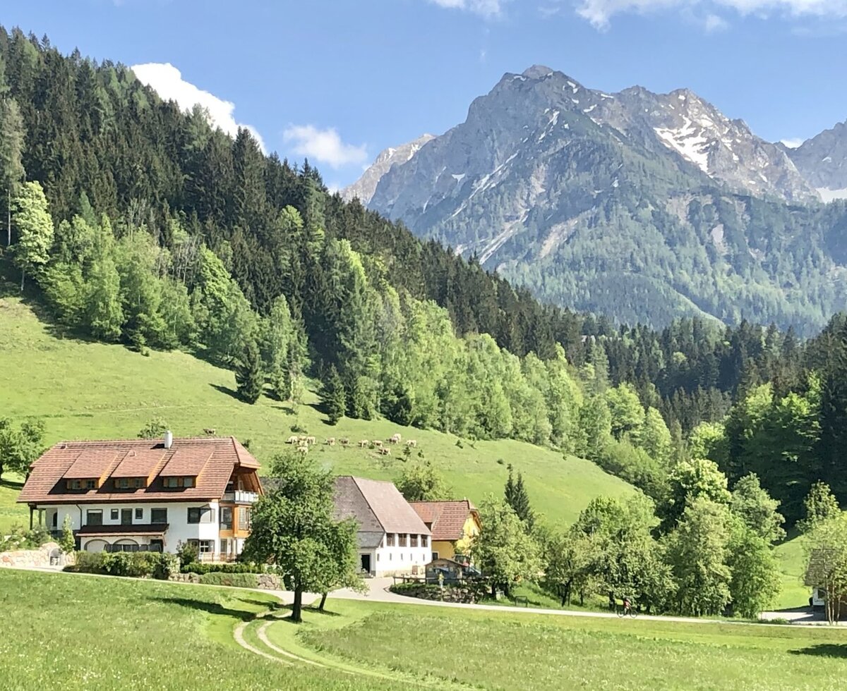 Hintergrabenbauer 28.05.2020