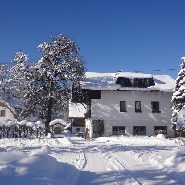 Der winterliche Bauernhof mit schneebedecktem Haus, Bäumen und einer Zufahrt unter klarem blauem Himmel.