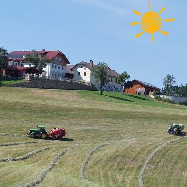 Großhaslinger, Königswiesen