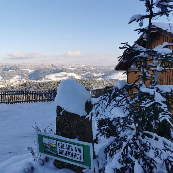 A snow-covered sign for 'Urlaub am Bauernhof' with an evergreen tree adorned with baubles, offering views of distant snowy hills from the Farm House.