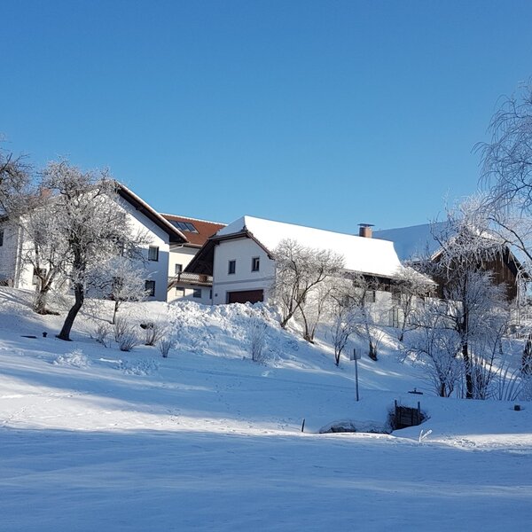 Der Bauernhof im Winter mit schneebedeckten Dächern und frostbedeckten Bäumen unter klarem blauem Himmel.