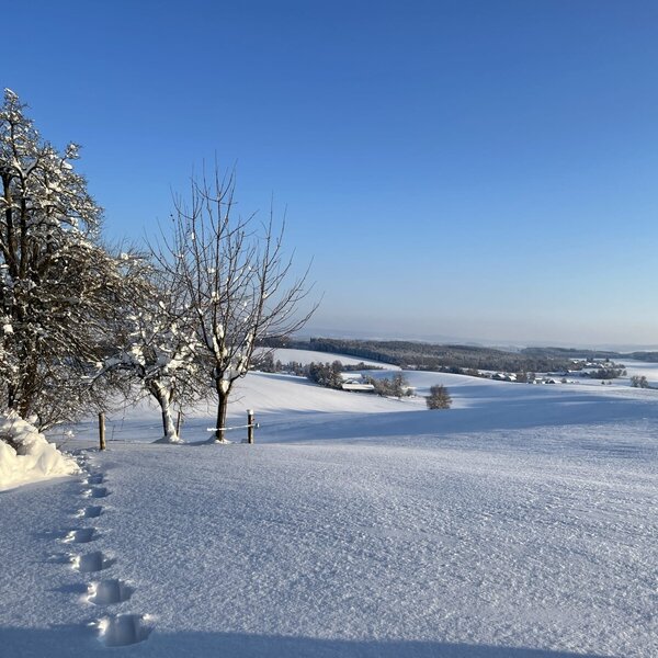 Winterlandschaft