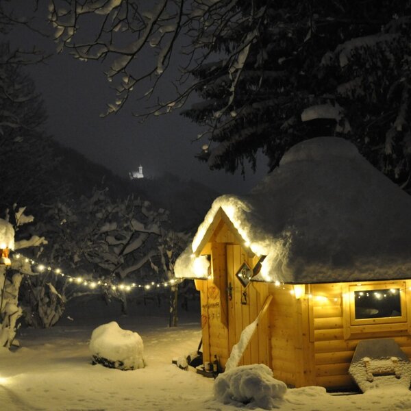 Urlaub Bio Bauernhof  Hof zu Steinern Reiten