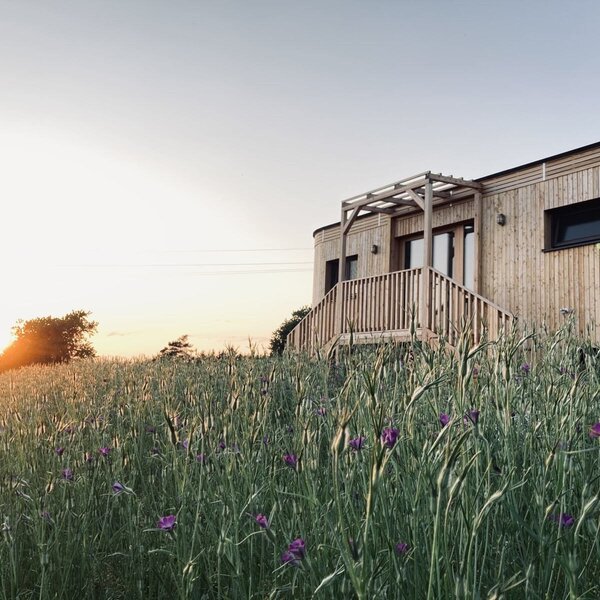 Kürnsteinerhof in Rechberg, Mühlviertel | © Urlaub am Bauernhof Oberösterreich / Griesbacher