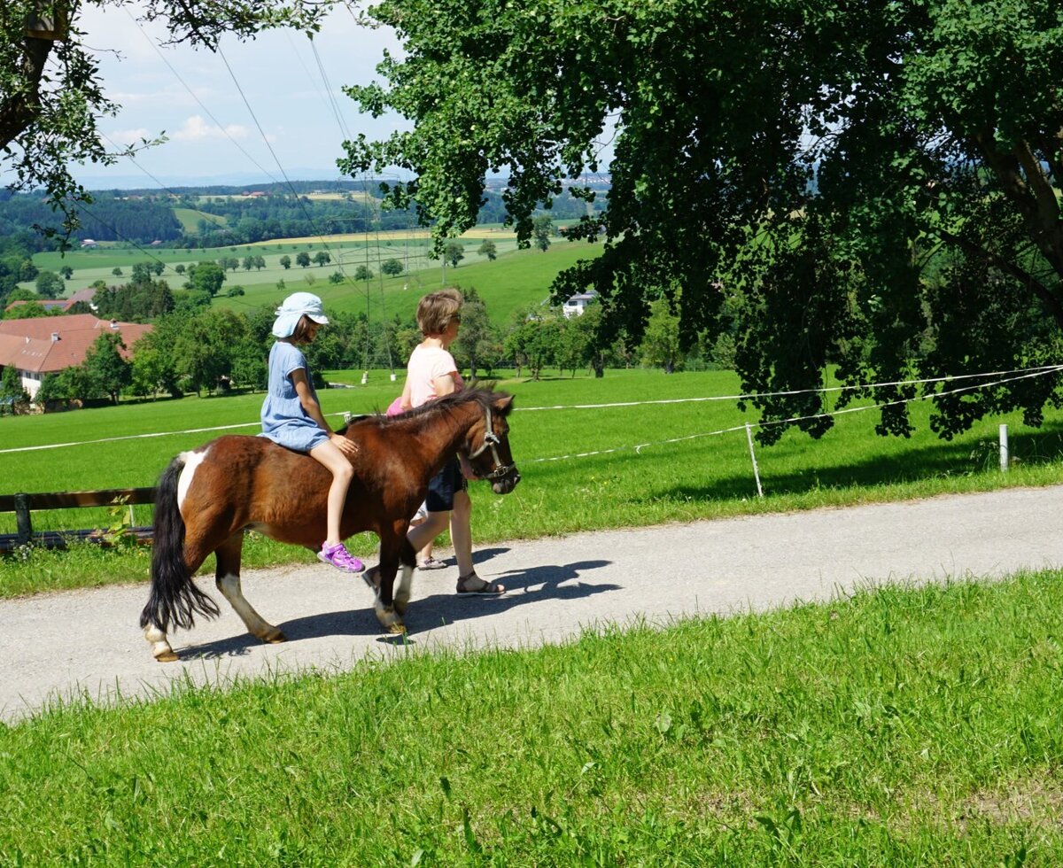 Ponyreiten für Kinder, geführt von einem Erwachsenen auf einem Weg durch die Landschaft des Bauernhofs.