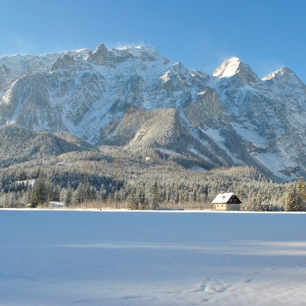 the view from the prentnergut