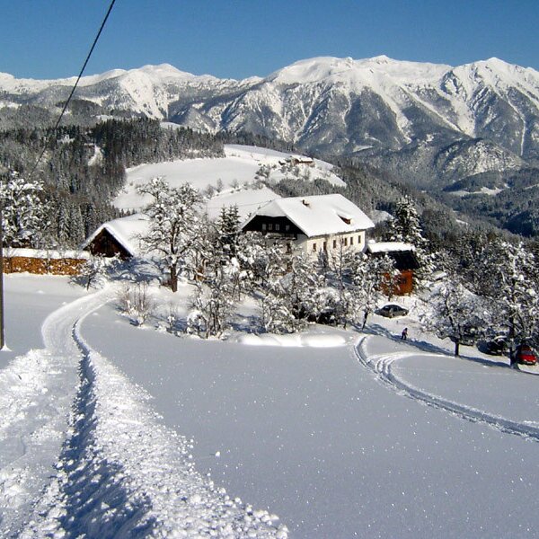 View from the ski lift onto our wintry organic farm