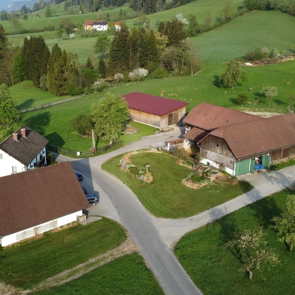 Aerial view of Biohof Grubbauer, a farm with multiple buildings and surrounding green fields.
