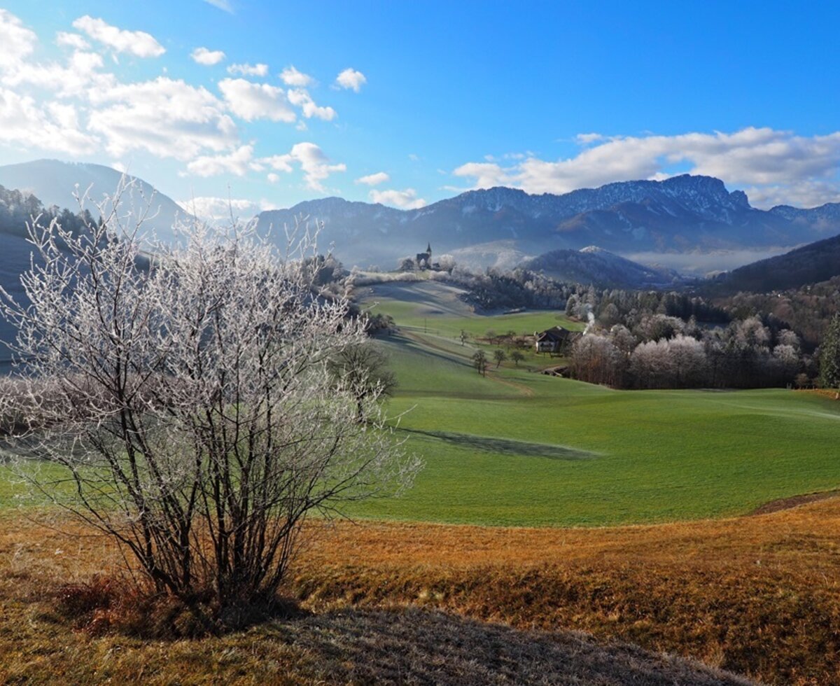 Unterführholzergut, Molln