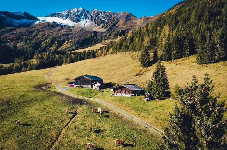 Der Hof in alpiner Landschaft, umgeben von grünen Wiesen und Wäldern, mit weidenden Kühen und schneebedeckten Bergen im Hintergrund.