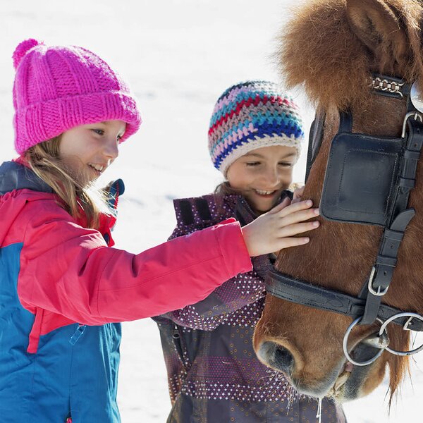 Streicheleinheiten für Kutschenpferd