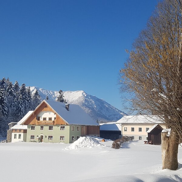 Der Bauernhof mit grüner Fassade und Holzelementen, umgeben von einer tief verschneiten Landschaft und Bergen.
