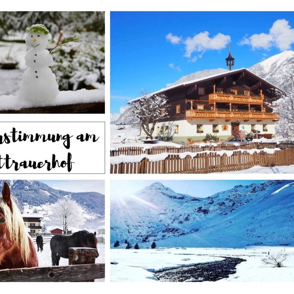 Winterliche Eindrücke des Bauernhofs mit dem traditionellen Gebäude im Schnee, Pferden und den umliegenden Bergen.