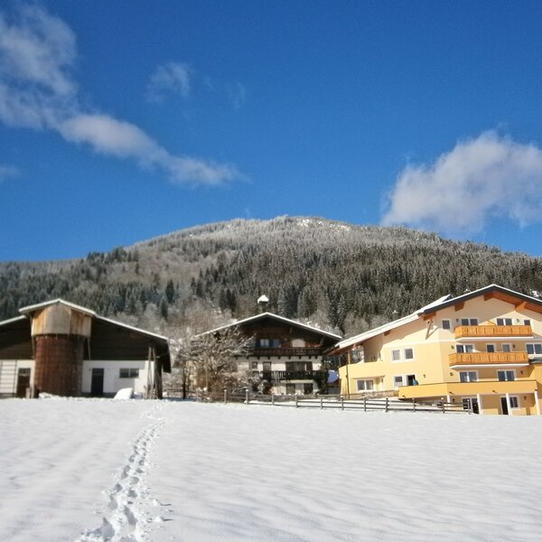 Bild mit unserem alten Haus