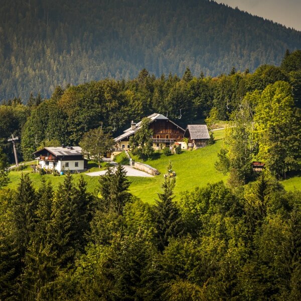 The farm house is located on a green hillside, surrounded by forests and mountains.