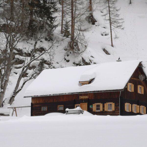 The wooden farmhouse, covered in snow, features windows with wooden shutters and a snow-laden roof, set against a snowy hillside with trees.