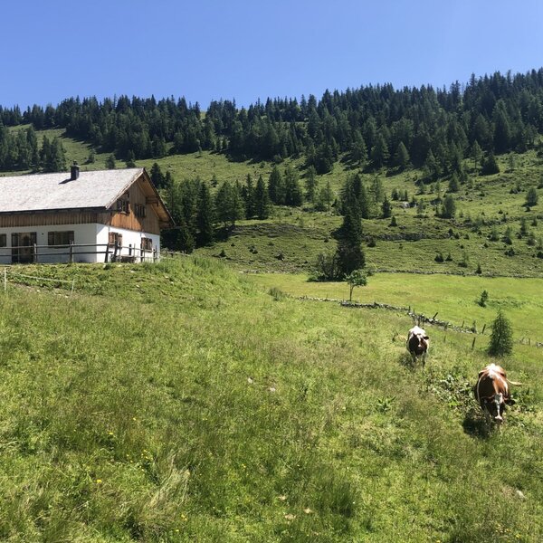 Hirterhütte