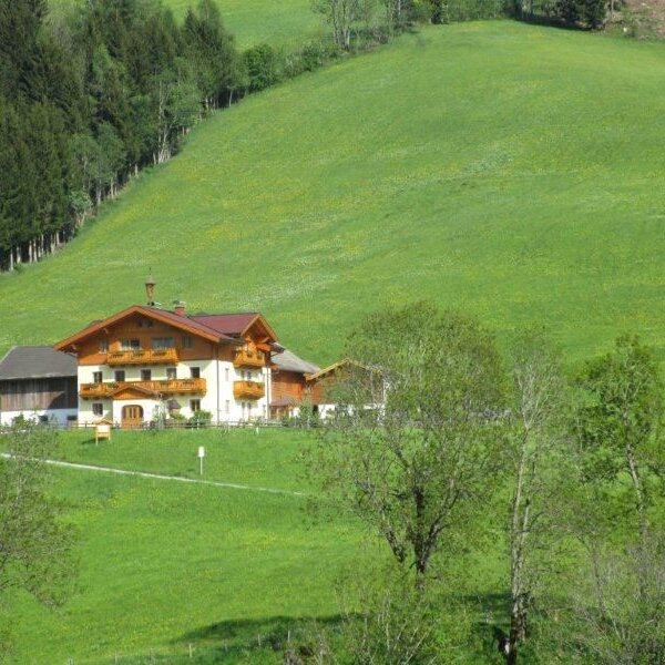 Der Bauernhof mit traditioneller Architektur und Holzbalkonen liegt inmitten grüner Wiesen und neben einem Wald.