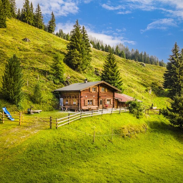 Der Hof liegt auf einer grünen Wiese am Hang, umgeben von Bäumen, mit einem umzäunten Außenbereich und einer Rutsche.