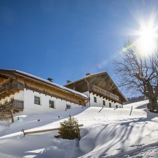 The exterior of the Farm House in winter, featuring snow-covered grounds, a large bare tree, and visible ski tracks under a clear, sunny sky.