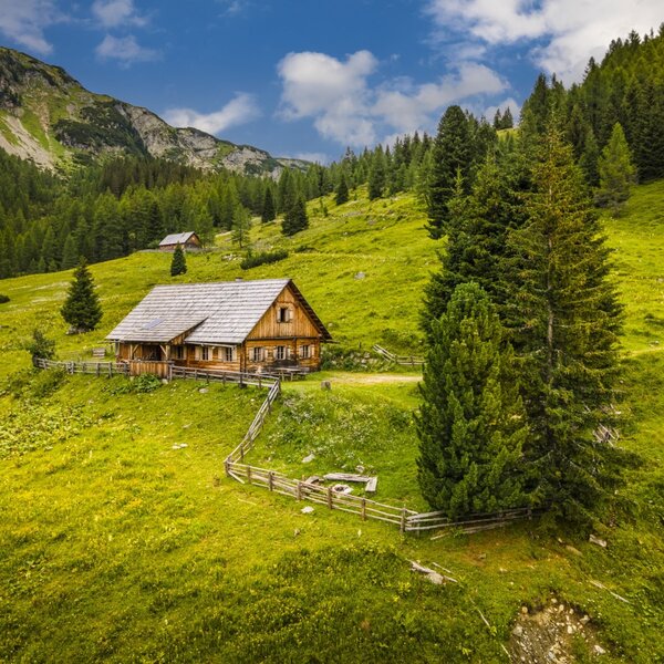 Der Hof ist ein Holzhaus auf einem grünen Berghang, umgeben von Wiesen und Nadelwäldern.
