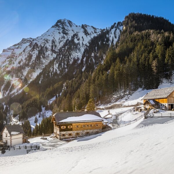 Der Bauernhof und seine Nebengebäude in einer winterlichen Berglandschaft mit verschneiten Hängen und Waldflächen.